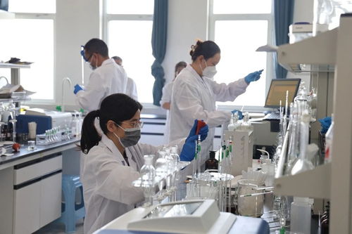 省生态环境监测专业技术人员大比武成功举行，央广网提供网络技术支持服务